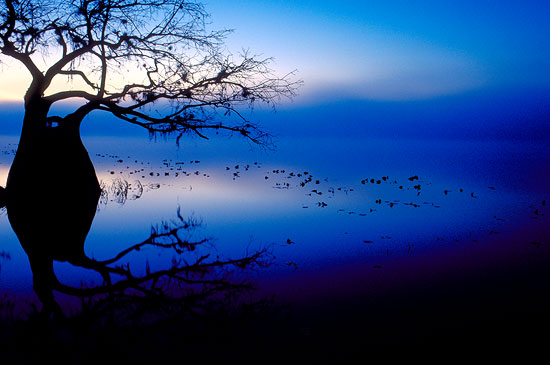 Dancer&rsquo;s Light