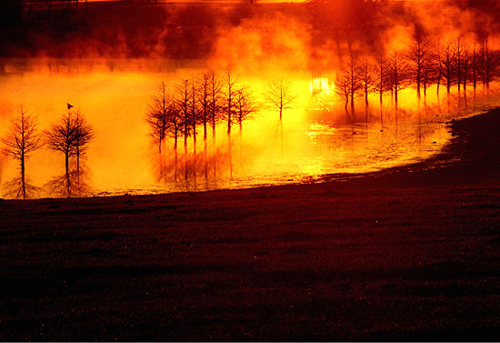 Fire Light