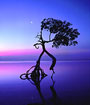 ARTerrain Gallery by photographer Joel B. McEachern.