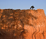 Twelve Photographs by Ben Krall