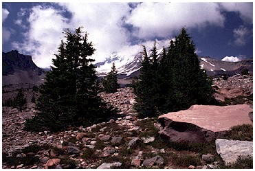 Above Panther Meadow