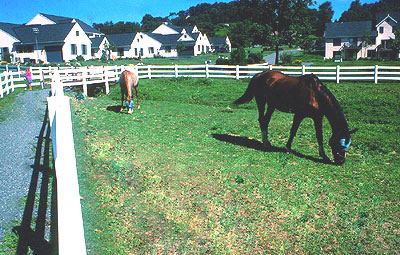 Equestrian facility.
