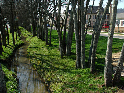 Ditch and hedgerows.