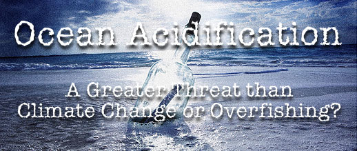 Ocean Acidification: A Greater Threat than Climate Change or Overfishing?