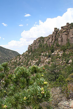 Chricahua Mountains.