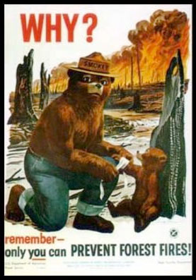 Yellowstone ground fire near Grant Village