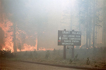 Yellowstone ground fire near Grant Village