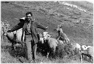 Biologist Valerius Geist studying bighorn in Banff, Canada, 1964.  Photo by R. Geist, courtesy HCN.