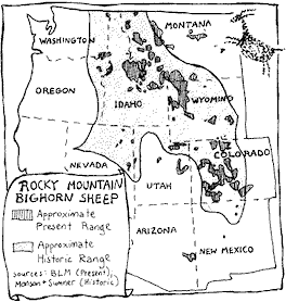 Rocky Mountain bighorn sheep range - in 1997 and historically. Graphic courtesy HCN.
