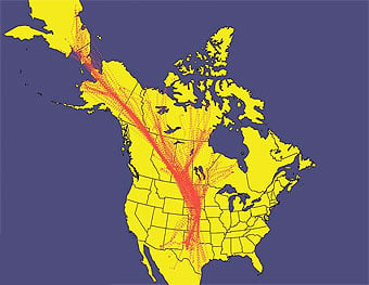 North American Central Fyway noting Sandhill crane migration routes. 