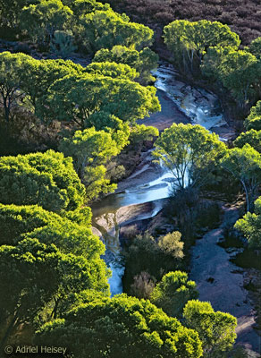 San Pedro River. Photo by Adriel Helsey.