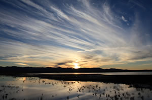 Sundog at Whitewater Draw, which is about 20 miles north of the Mexico border.