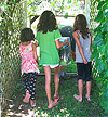 Field Notes: Someone's Lunch by Kathryn Miles, Terrain.org Editorial Board Member