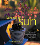 Yard Full of Sun, by Scott Calhoun.
