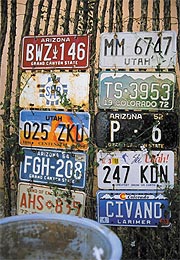 Arizona, Utah, Colorado, and Mexico license plates on ocotillo fence.