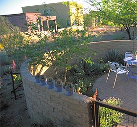 Adobe wall on side/front yard.