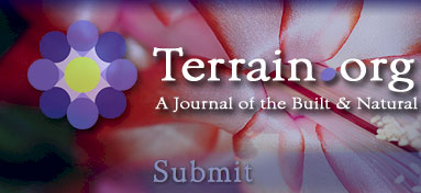 Submit to Terrain.org.