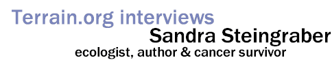 Terrain.org interviews Sandra Steingraber -- ecologist, author & cancer survivor