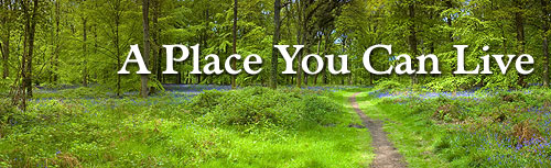 A Place You Can Live