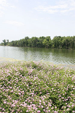 Planners collaborate on one of the MetroGreen regional plans. 