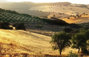 Issue 10. Regarding the Rural