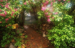 Issue 18. Garden Gate