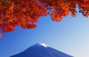 Issue 8. The Mountain's Range