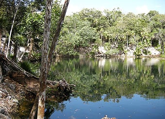 Xel Ha'