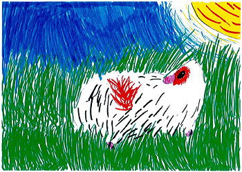 miles_guinea-pig Drawing of guinea pig