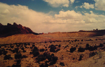 Western desert