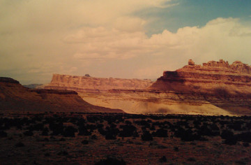 Western desert