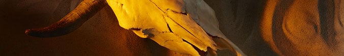 Three Poems by Julie Lein