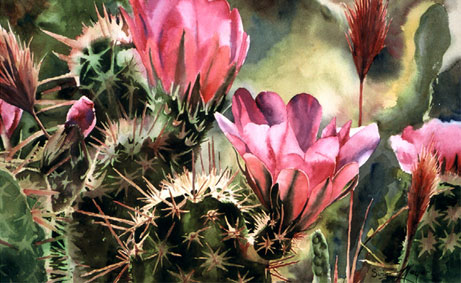 Cool Pricklies.