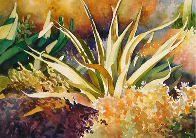 Winter Agave.