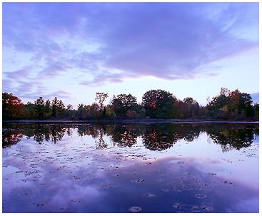 River Reflection