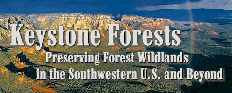 Keystone Forests: Preserving Forest Wildlands in the Southwestern U.S. and Beyond.