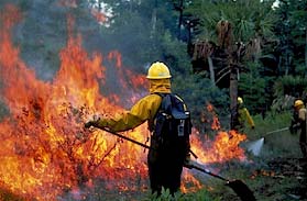 image, Working on a fireline beside a small fire.