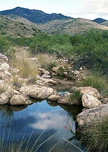 Cienega Creek at mountains.