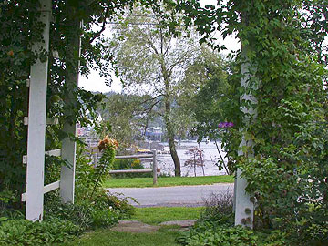 View of Elliot's Cove from Anodyne House.