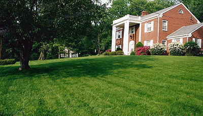 House, side view color