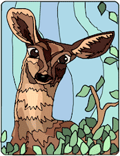 Deer.