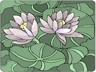 Lily pads.