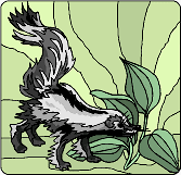 Skunk.