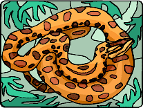 Snake.