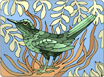 Thrush.