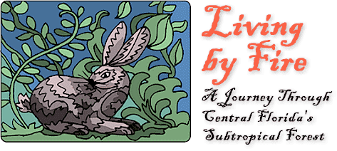 Living by Fire: A Journey Through Central Florida's Subtropical Forest, by Simmons B. Buntin