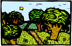 Orchard.