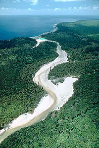 Aerial of sandy river through jungle to sea.