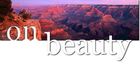 On Beauty.