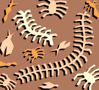 Millipede (and other critters).